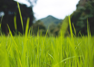 我司于2024年3月13-15日參加上海CAC展會